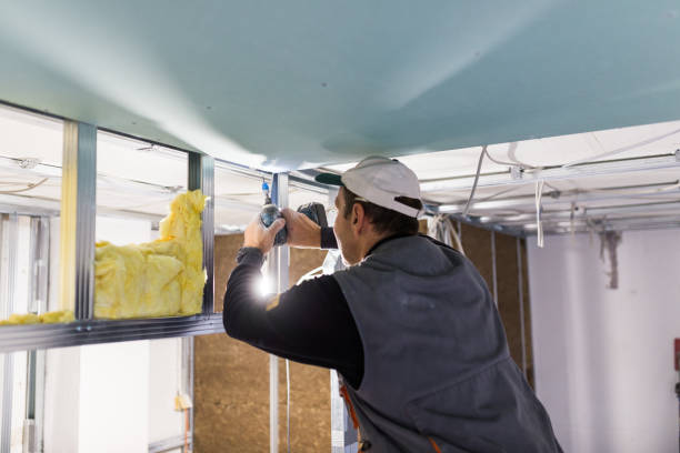 Best Attic Insulation Installation  in Andover, MN